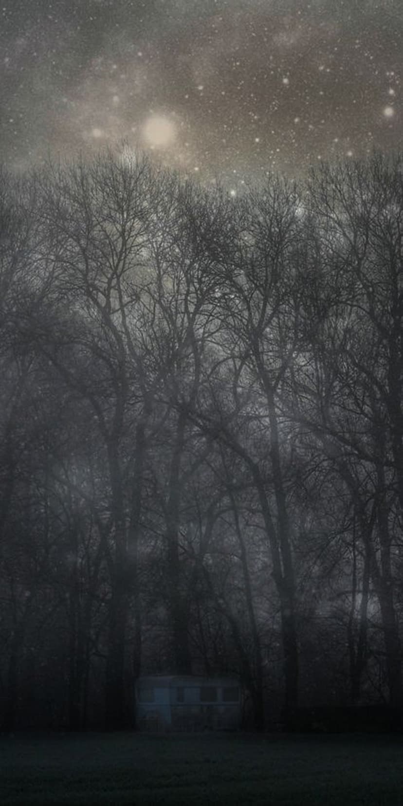 Abandoned wooden wagon sits among twisted trees under a starry night sky with heavy fog rolling across the ground.