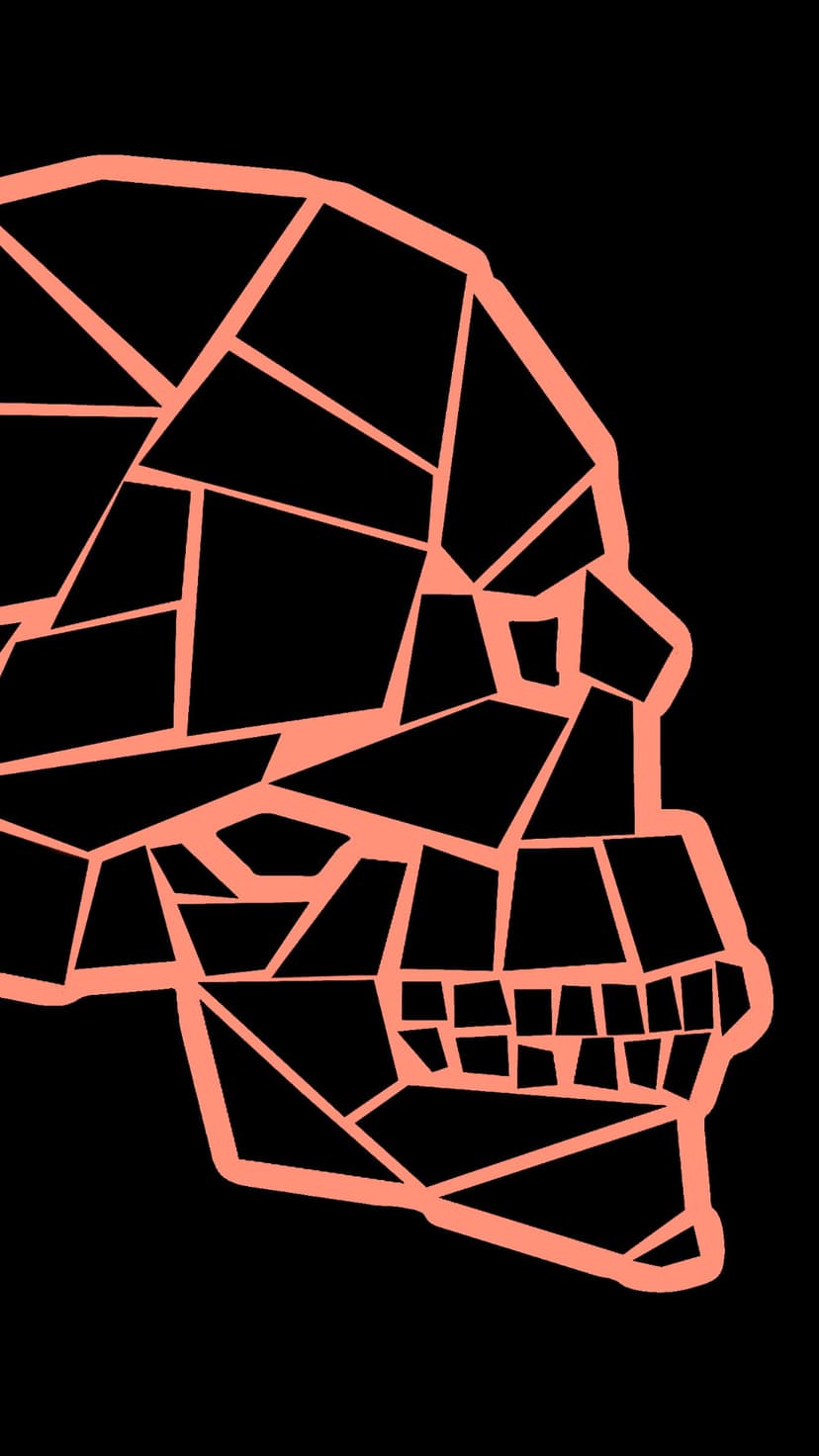 Human skull silhouette formed by vibrant coral geometric lines against a solid pitch-black background.