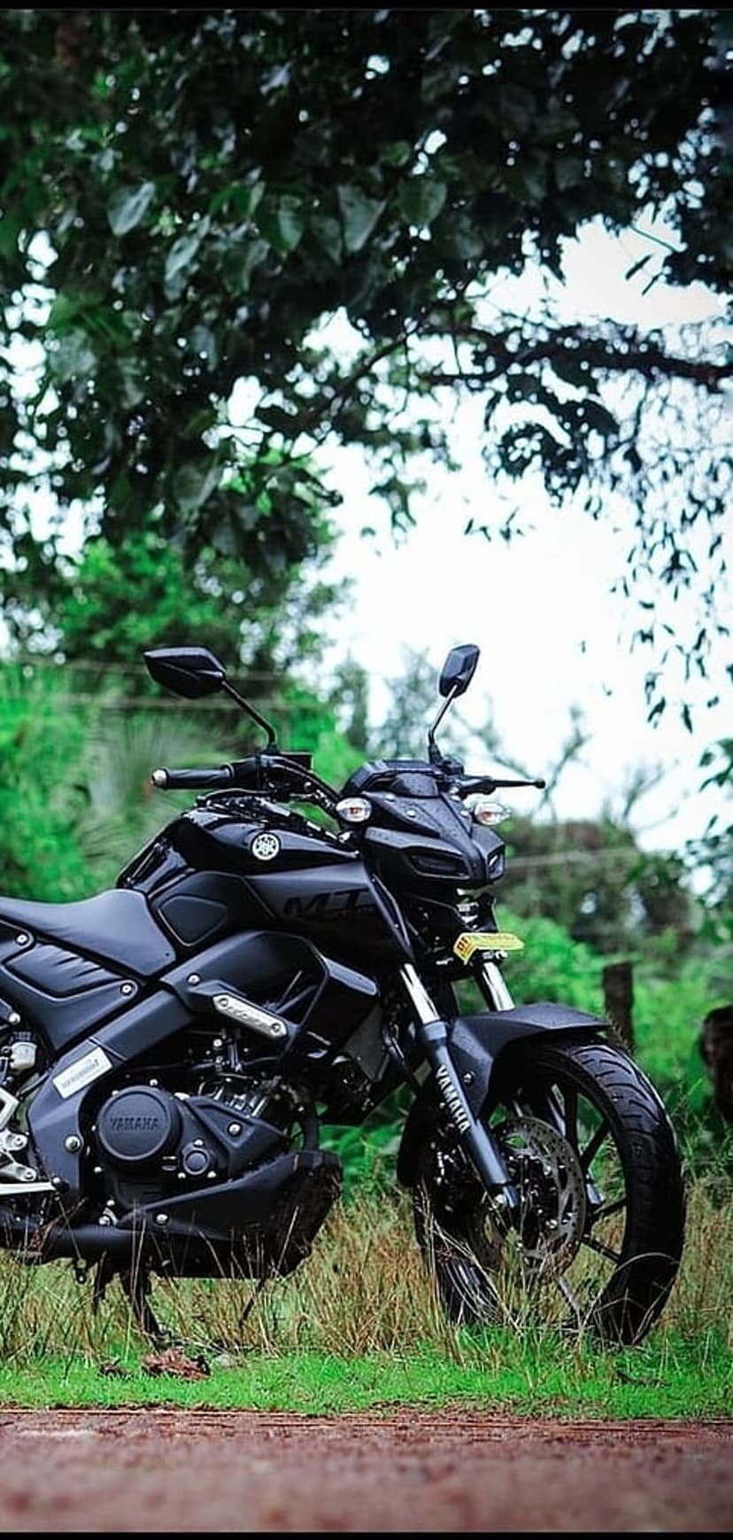 Black Yamaha MT-15 motorcycle parked on grass surrounded by dense green trees under soft overcast lighting.