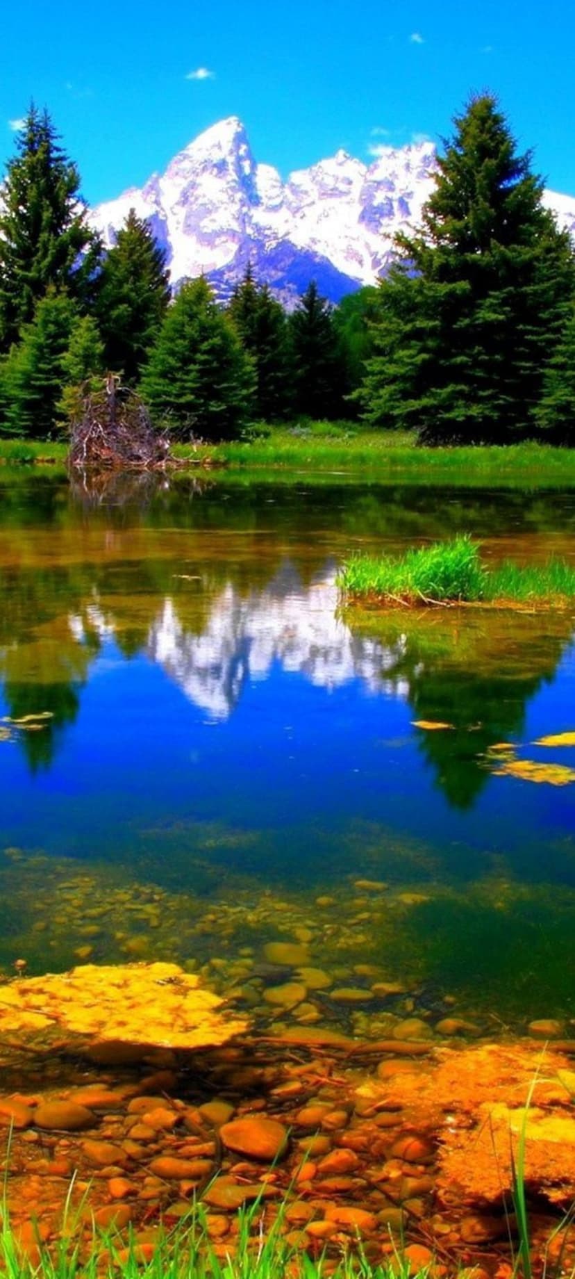 Snow-capped mountain peaks reflect in a clear blue lake with a rocky shoreline and green pine trees.