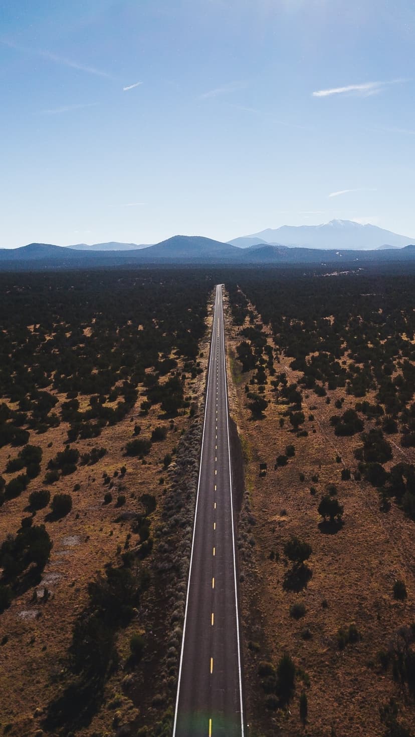 Straight asphalt road cutting through an arid desert landscape toward distant blue mountains under a clear sky.
