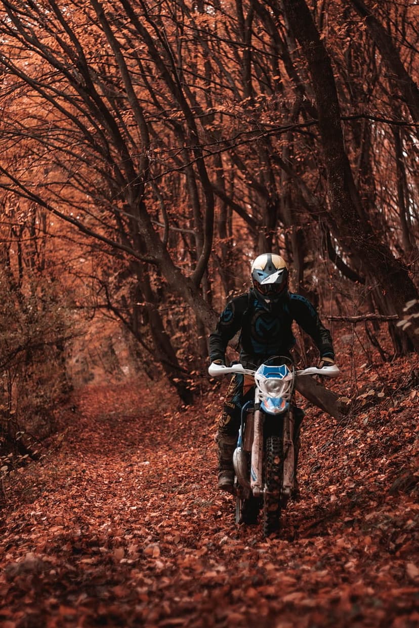 Motorcyclist in full gear riding a dirt bike through a dense woodland trail covered in orange autumn leaves.