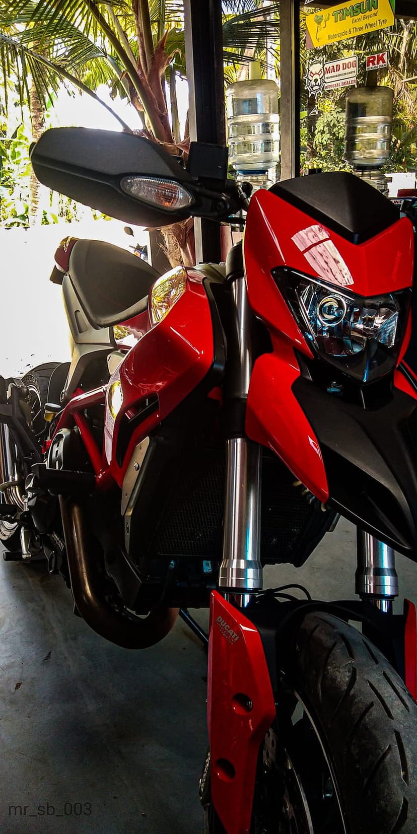 Red Ducati motorcycle front end featuring sharp headlights and fairings positioned against green palm leaves.