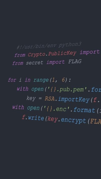 Python RSA Encryption Code Snippet with Cryptography Library