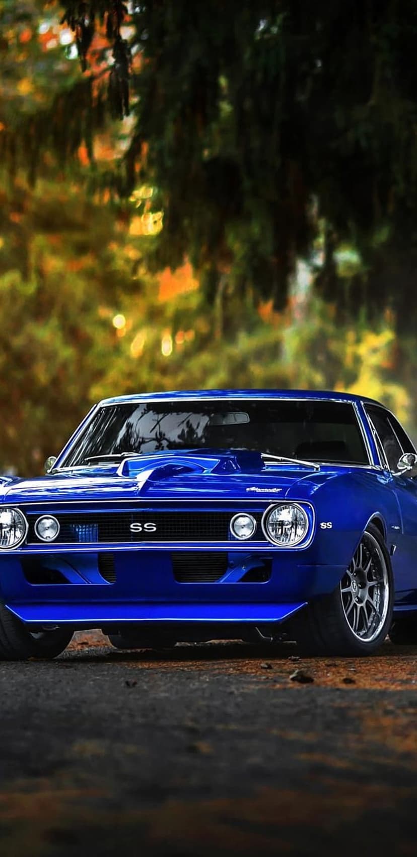 Blue Chevrolet Camaro SS with hood scoop parked in a forest of orange autumn trees seen from a low angle.