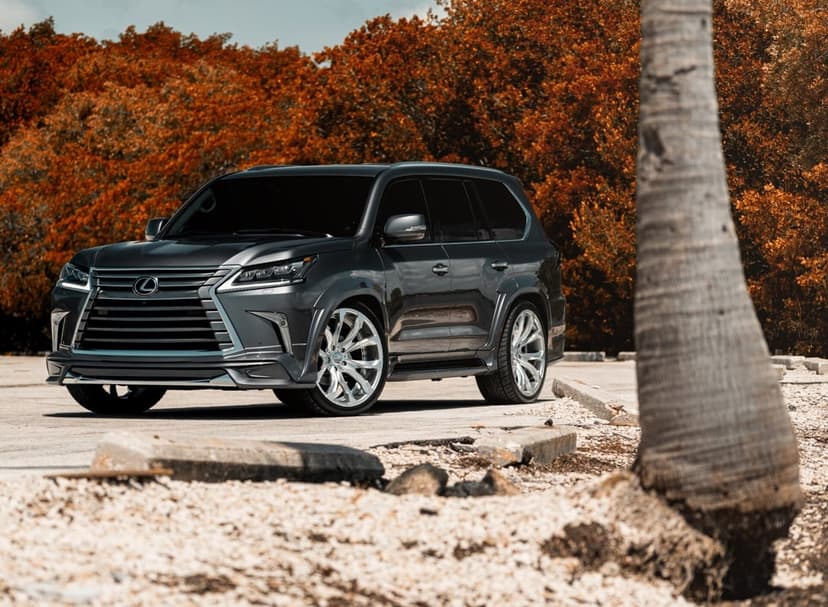 Charcoal Lexus LX SUV with custom silver wheels parked near orange autumn trees and a palm tree trunk.