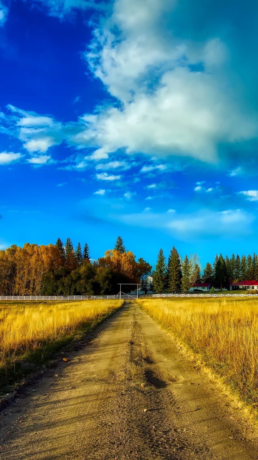 Winding dirt road leads through golden fields toward a distant ranch house under a bright blue autumn sky.