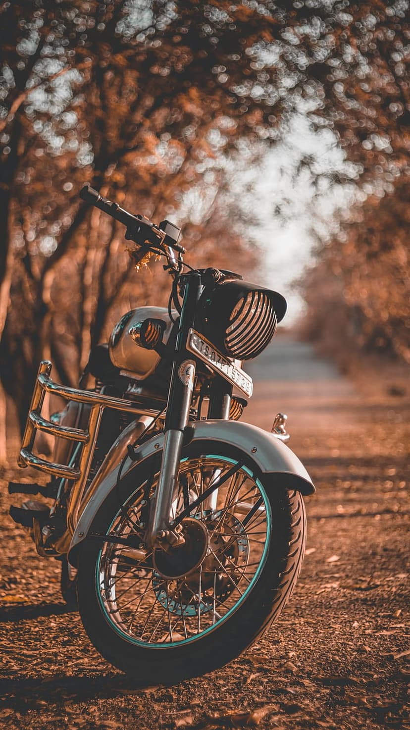 Classic motorcycle with chrome details parked on a dirt road covered in fallen orange leaves under golden sunlight.