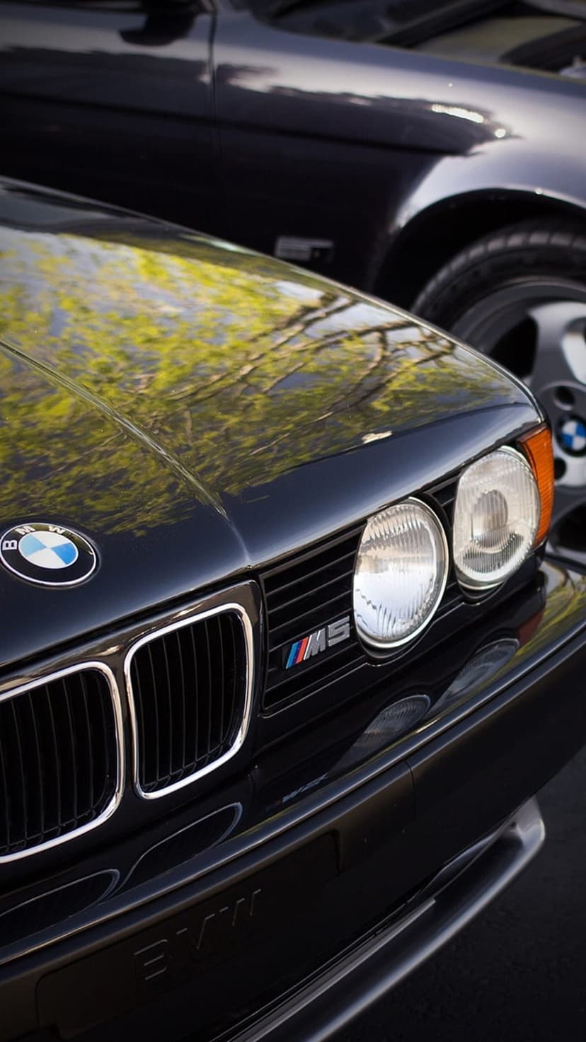 BMW M5 hood and kidney grille with a glossy black finish reflecting green tree branches and a bright sky.