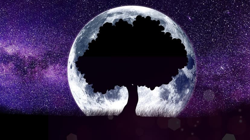 Lone tree silhouette centered against a massive glowing moon and a purple galaxy filled with glittering stars.