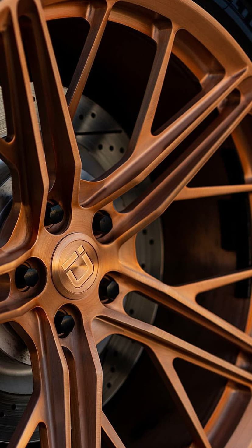 Bronze multi-spoke wheel with a brushed finish displays a perforated brake disc and grey caliper in close-up.