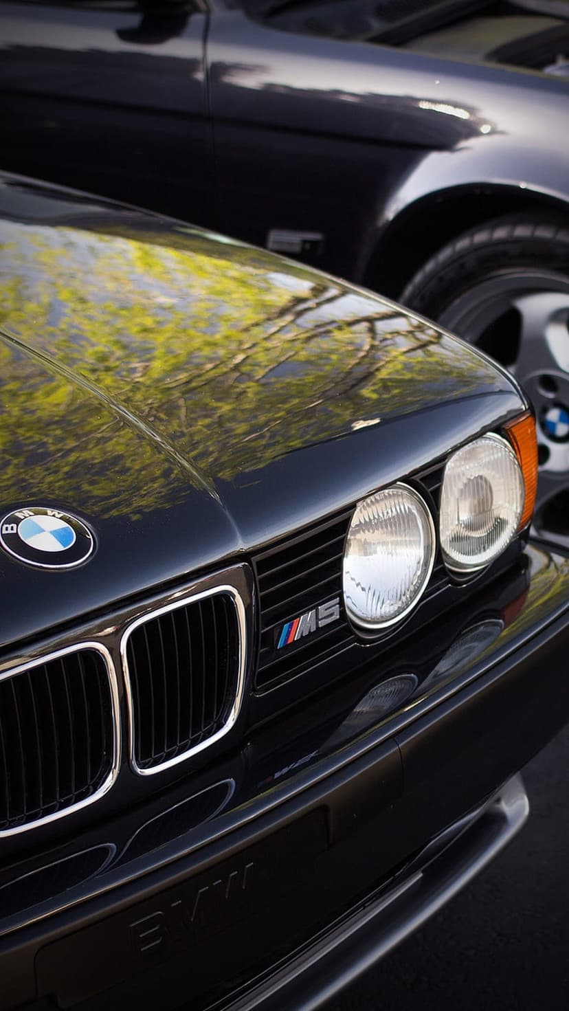 Classic BMW M5 front grille and dual headlights with green leaf reflections on a polished black car exterior.