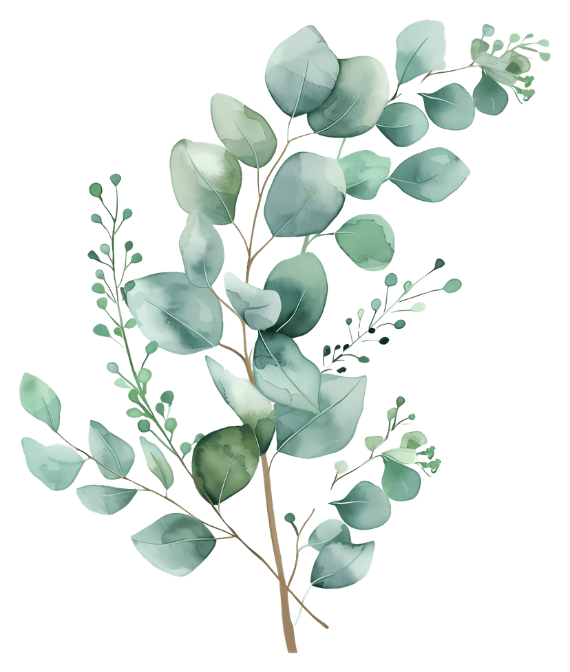 Eucalyptus leaves watercolor illustration showing matte green foliage on a thin branch with organic textures.