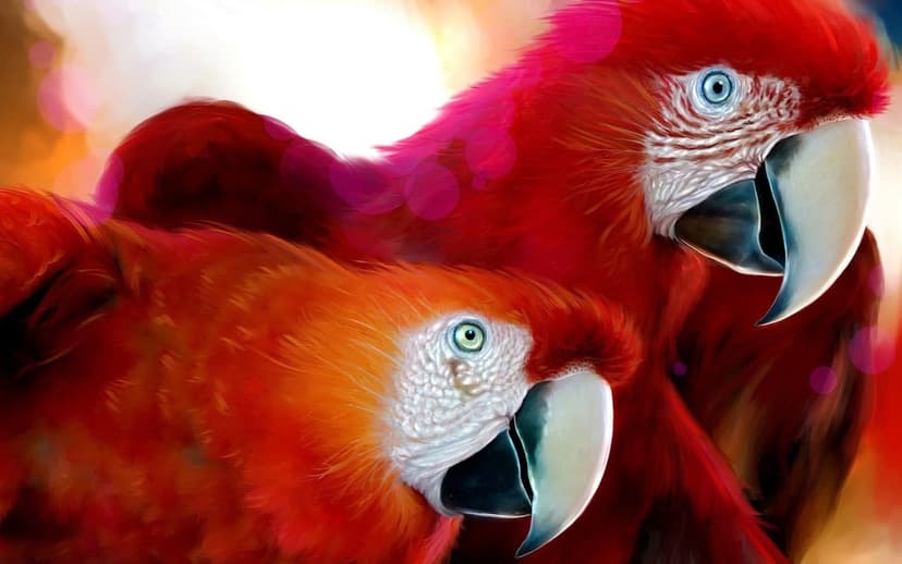 Scarlet macaws with red, yellow, and blue feathers feature sharp beaks and blue eyes against a blurred background.