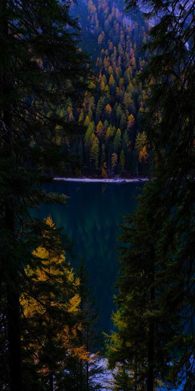 Golden autumn leaves frame a turquoise mountain lake reflecting the sky in a vertical wilderness landscape.