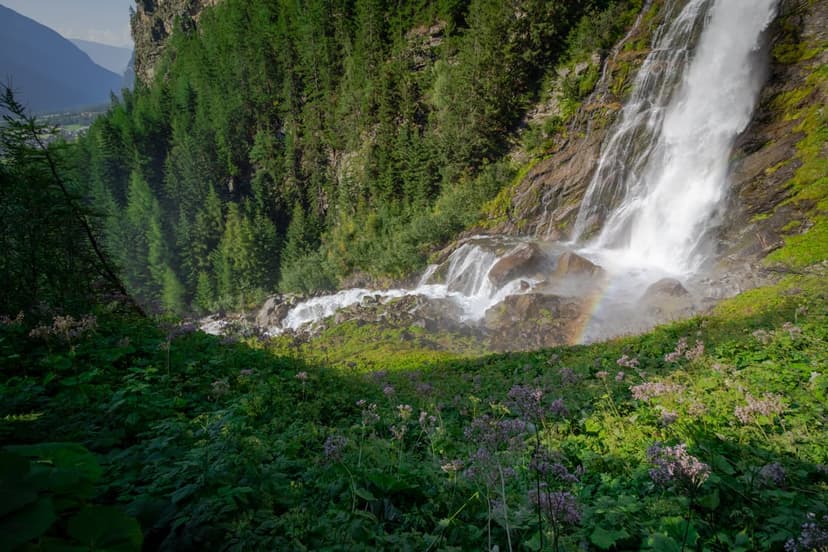 Powerful waterfall plunges down rocky cliffs into a pine valley with a faint rainbow mist and wildflowers.