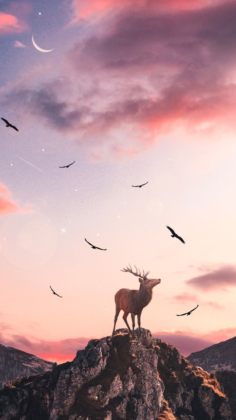 Stag silhouette stands on a rocky mountain peak under a purple twilight sky with a crescent moon and flying birds.