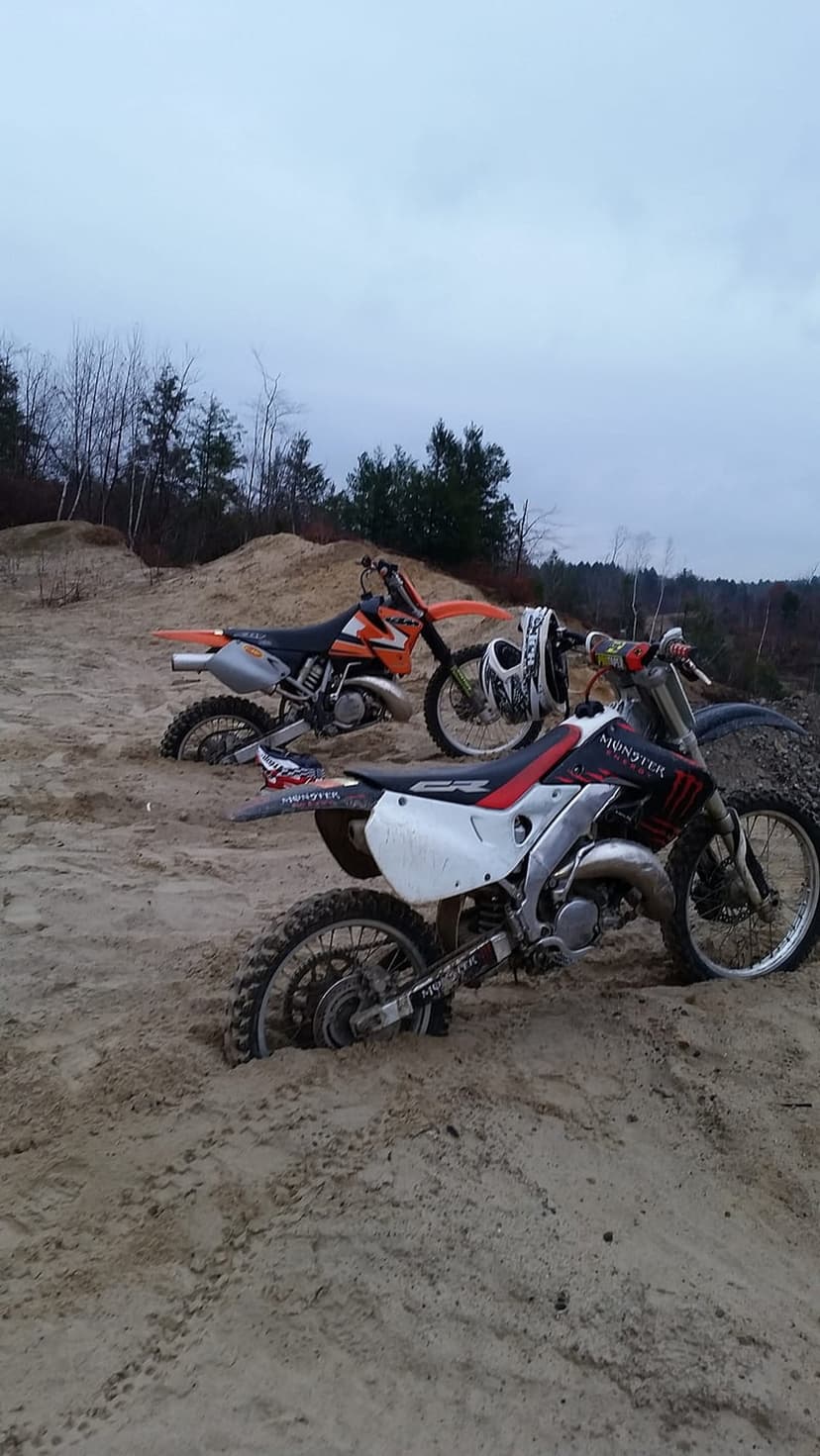 Orange KTM and white CR dirt bikes mired in soft sand dunes with a leafless forest under a gray overcast sky.