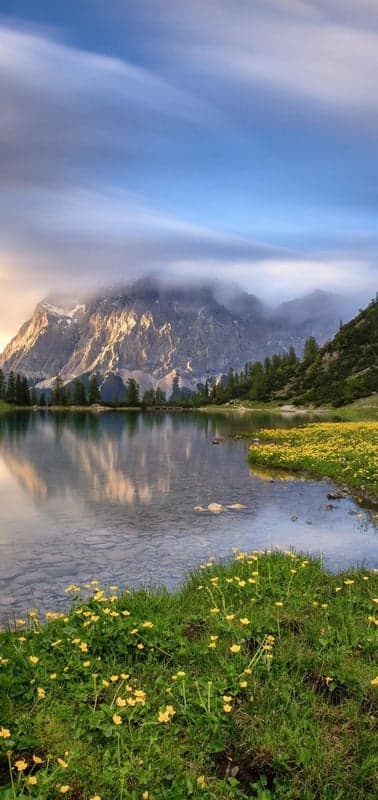 Alpine Lake Bloom- Wildflowers Gracing a Mountain Reflection at Dawn