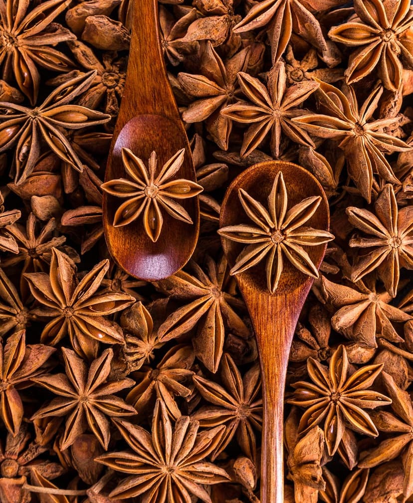 Star anise pods piled around a wooden spoon showcase intricate seed shapes and rich brown textures in macro detail.