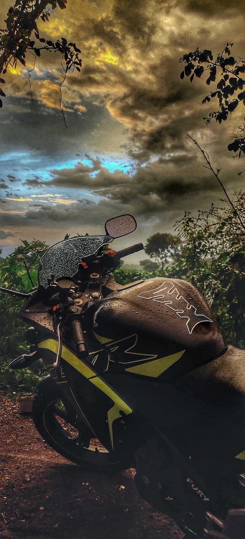 Black and yellow motorcycle glistening with raindrops against a dark stormy sky and green foliage background.