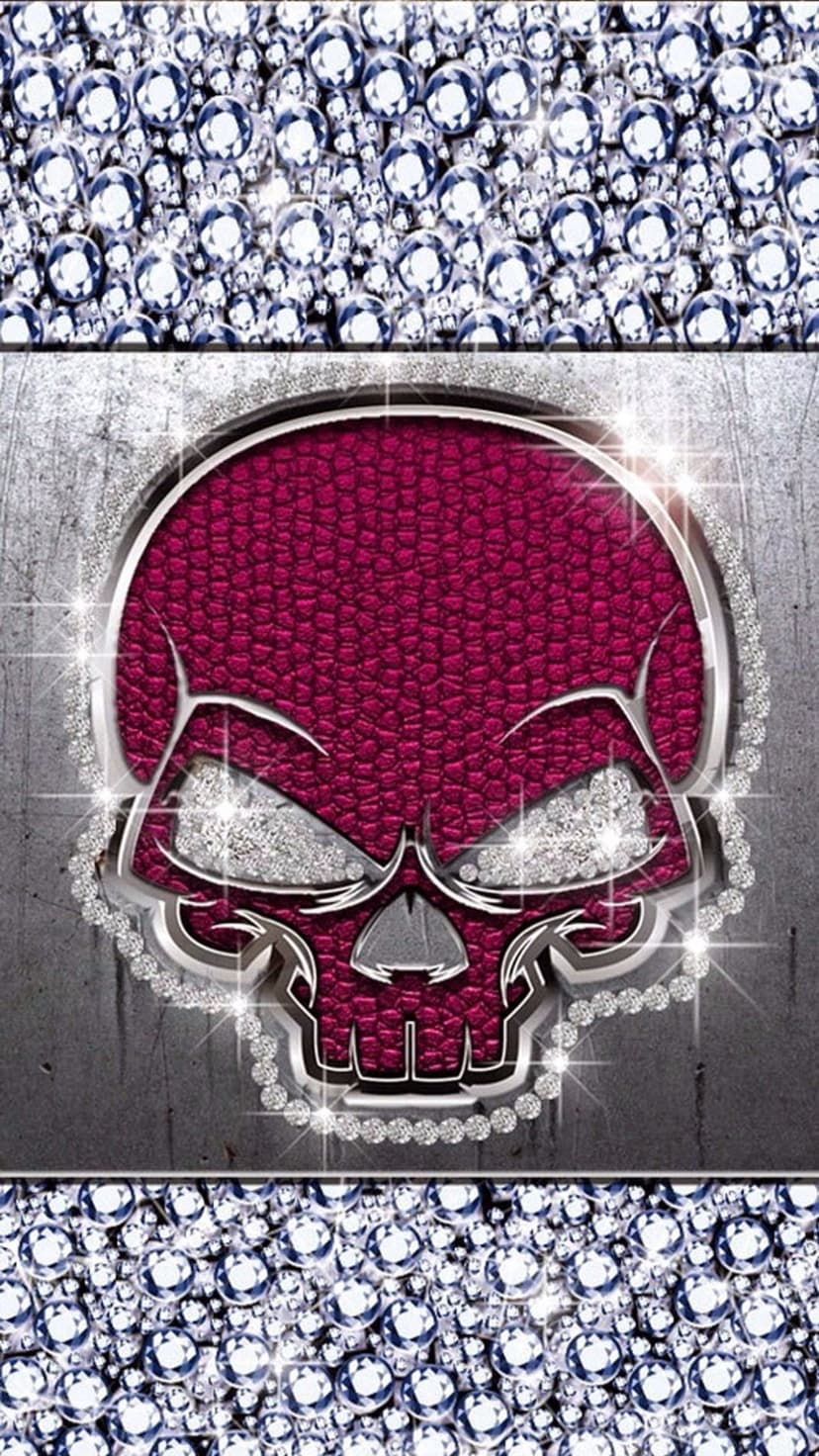 Jeweled skull with burgundy leather infill centered between crystal borders on a distressed metal background.