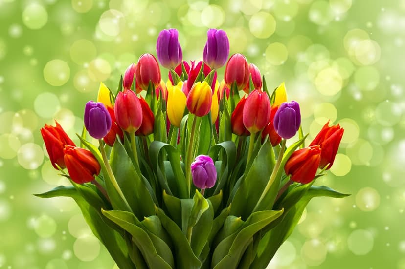 Crimson, yellow, and purple tulips stand against a blurred green forest background with soft bokeh light spots.