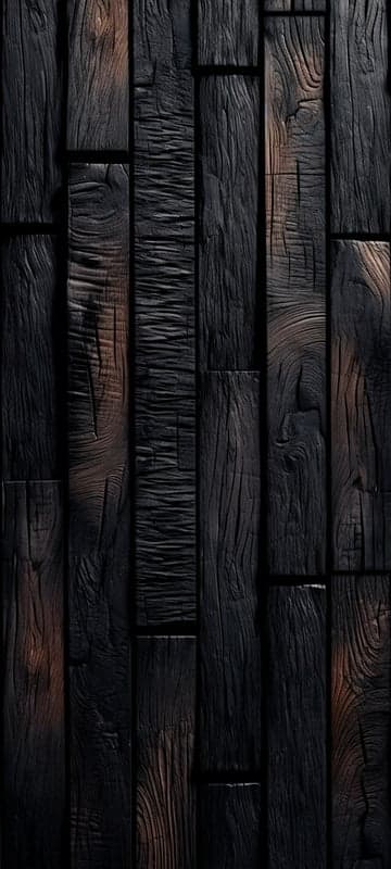 Charred Wood Siding Texture