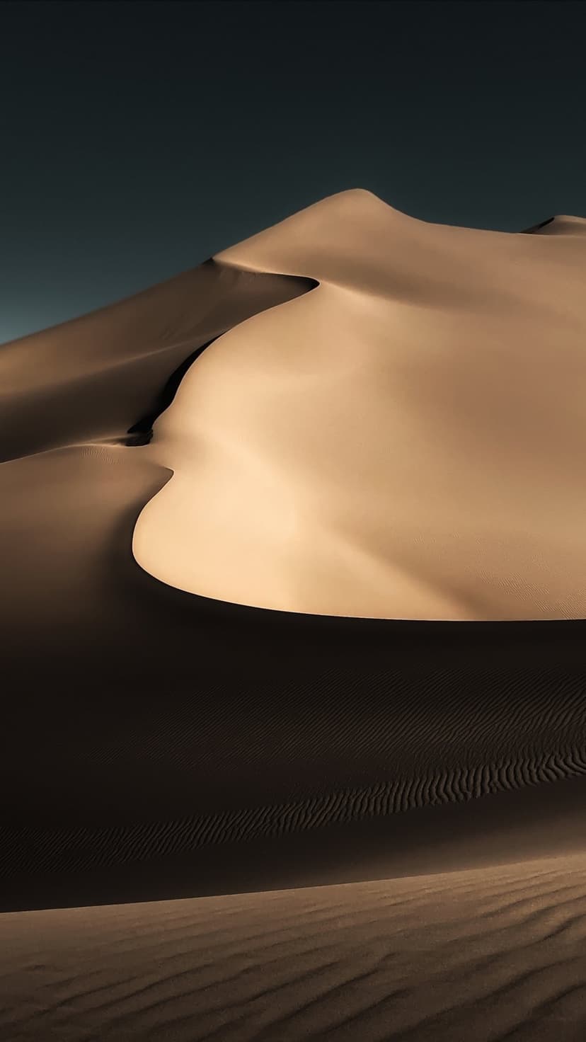 Rippled sand dune crests cast deep shadows beneath a clear blue sky in a minimalist arid desert scene.
