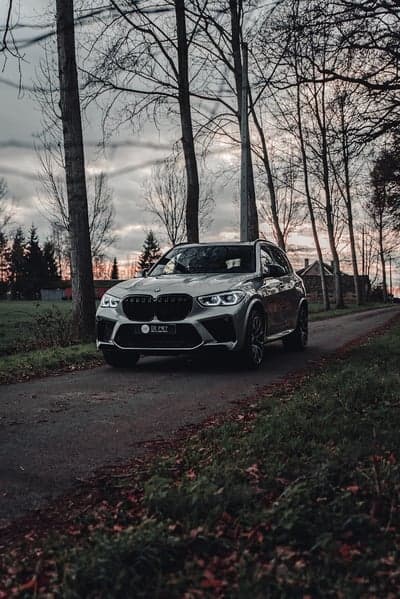 Silver BMW X5 M on a tree-lined road