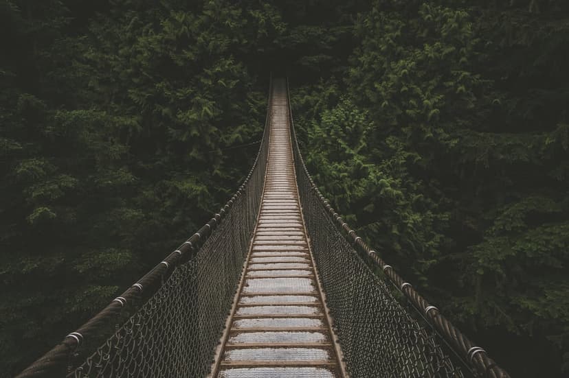 Wooden suspension bridge with metal railings extends into a dense green forest canopy under soft lighting.
