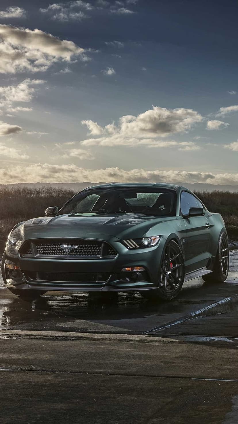 Dark green Ford Mustang parked on a wet road with red brake calipers and a dramatic cloudy sky in the background.
