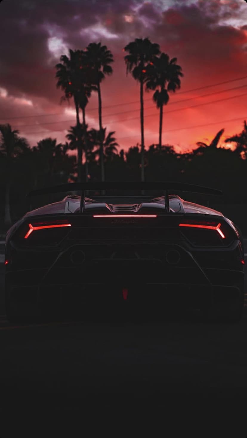 Black Lamborghini supercar with glowing red taillights parked under silhouetted palm trees at purple sunset.