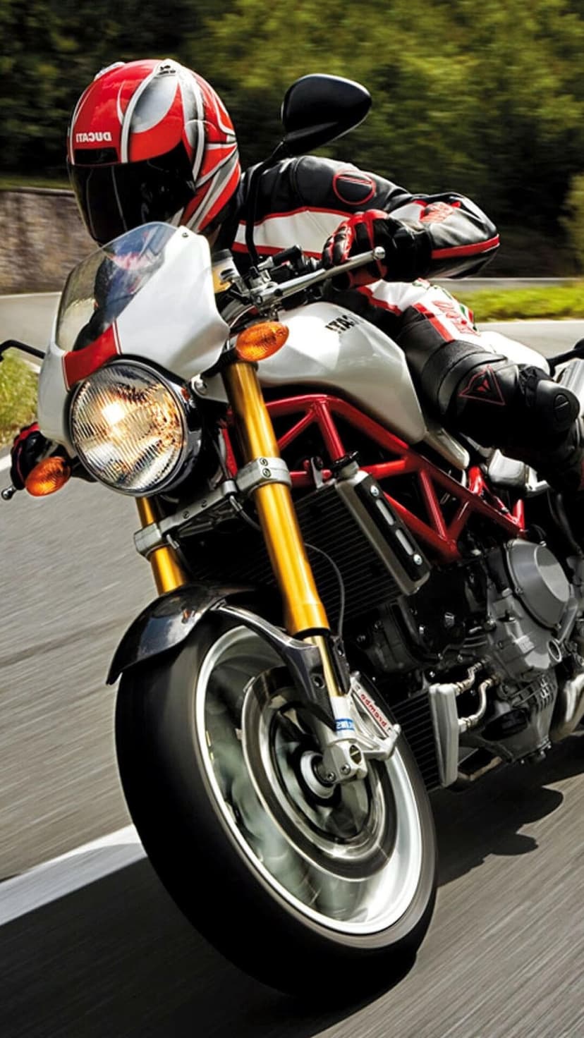 Motorcyclist in red and white racing gear leans a white Ducati sportbike through a blurred forest road curve.