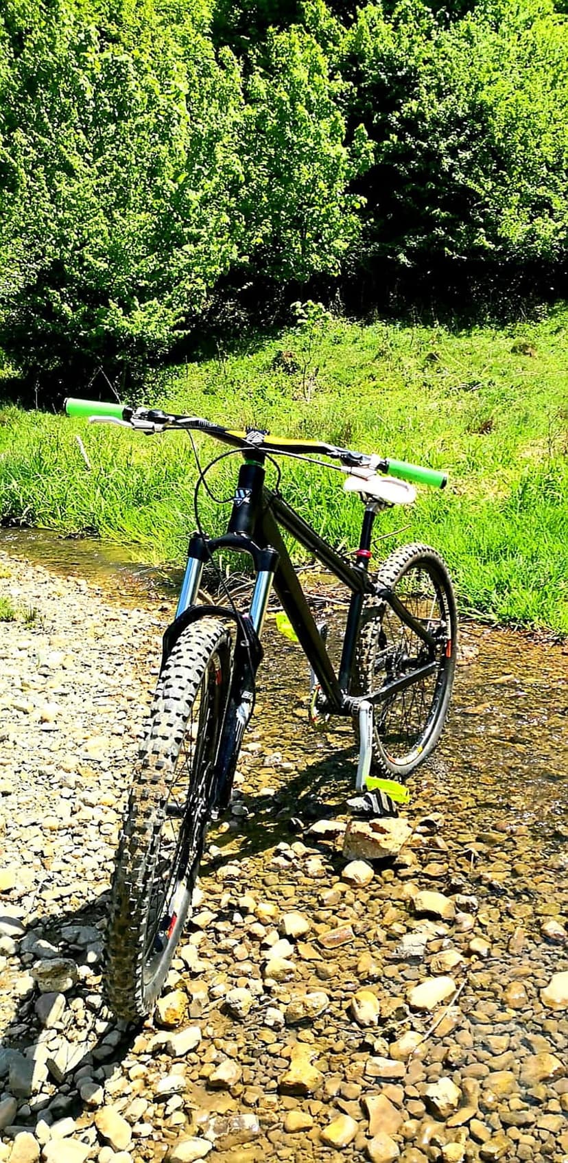 Black mountain bike with green handlebars stands on a rocky stream bed surrounded by dense forest greenery.