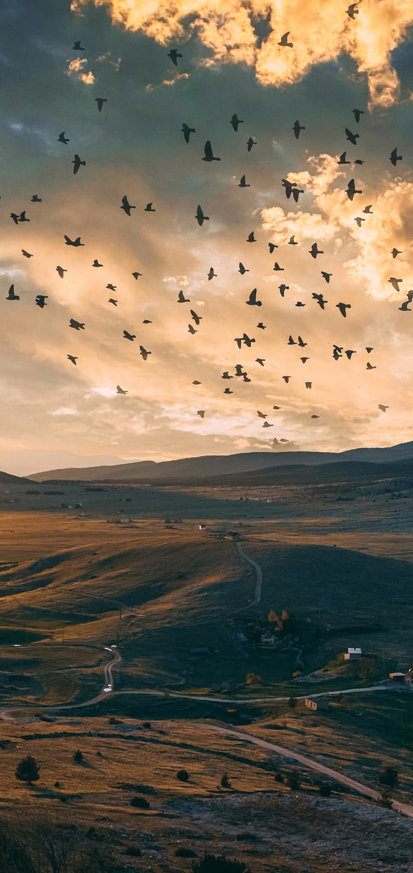 A flock of birds flies over rolling hills and a winding road under a vibrant orange and blue sunset sky.