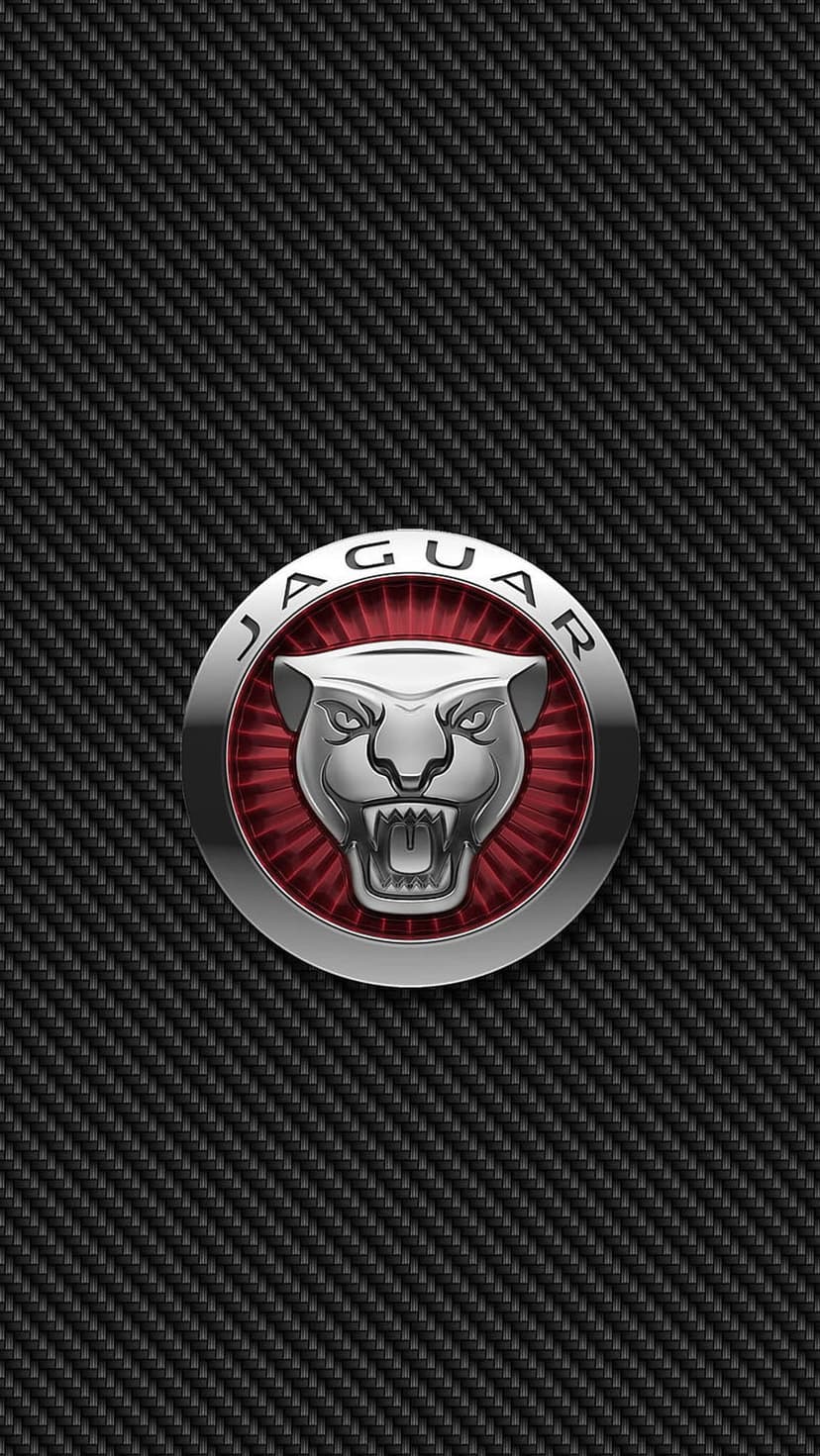 Silver Jaguar leaping cat emblem on a dark grey diagonal carbon fiber weave pattern with metallic textures.