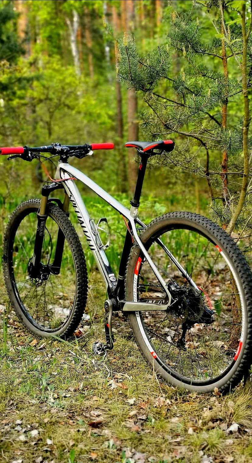 Silver mountain bike with red handlebars parked on a grassy forest floor amidst sunlit woodland trees.