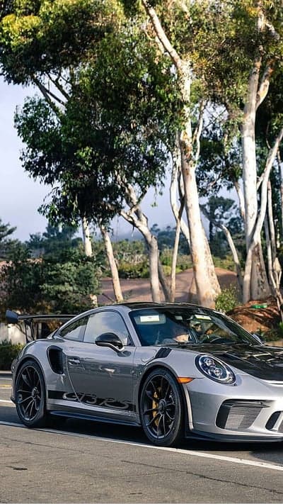 Silver Porsche GT3 RS parked near eucalyptus trees