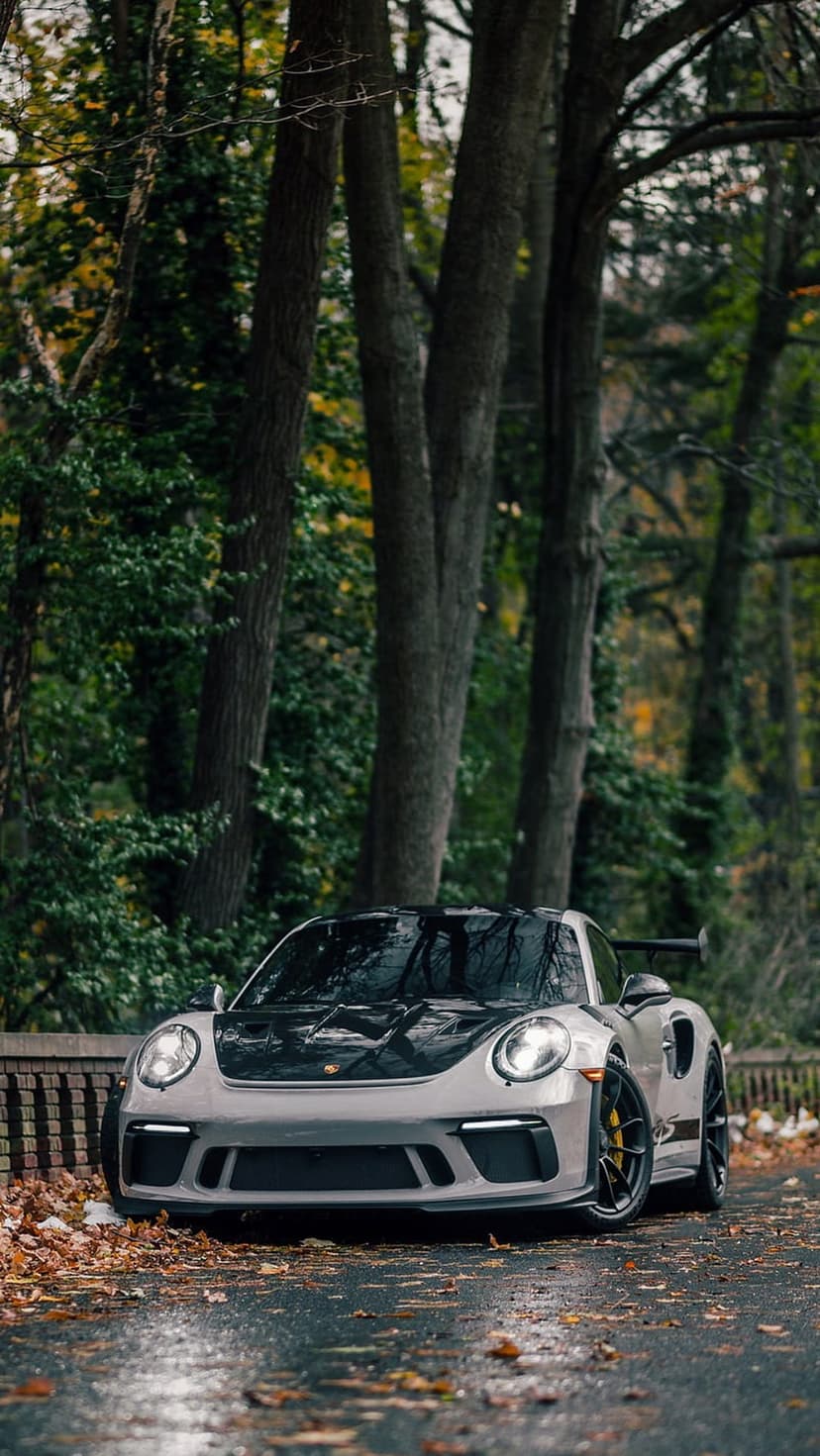 Grey Porsche 911 GT3 RS with a black hood parked on a wet forest road covered in fallen autumn leaves.