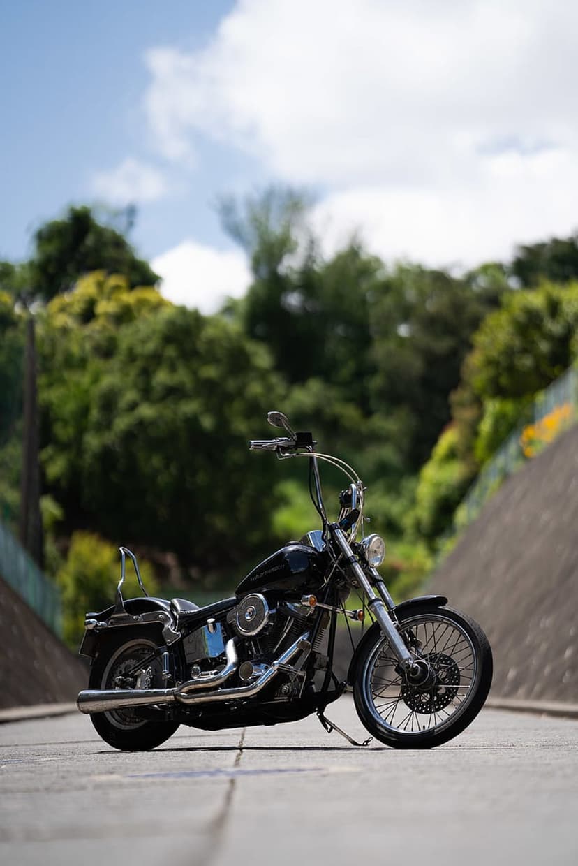 Black Harley Davidson motorcycle with chrome exhaust parked on an asphalt road under a blue sky with green trees.