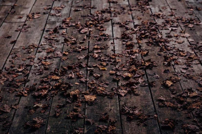Scattered brown autumn leaves on aged wooden deck planks emphasize rustic textures and seasonal transition.