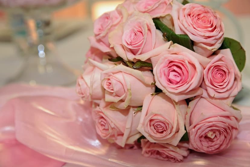 Pink roses arranged on draped silk fabric with soft lighting, highlighting delicate petals and satin textures.