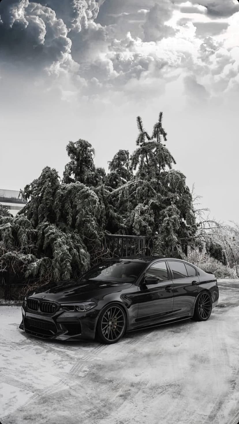 Black BMW M5 sedan parked on a snow-covered road under a cloudy sky with icy trees in the background.
