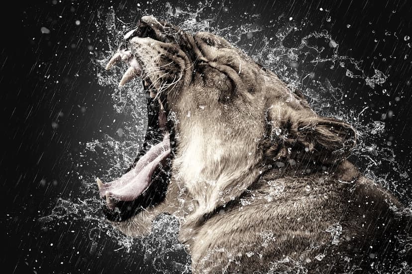 Majestic lion baring teeth while roaring, surrounded by dynamic water splashes on a dark textured backdrop.