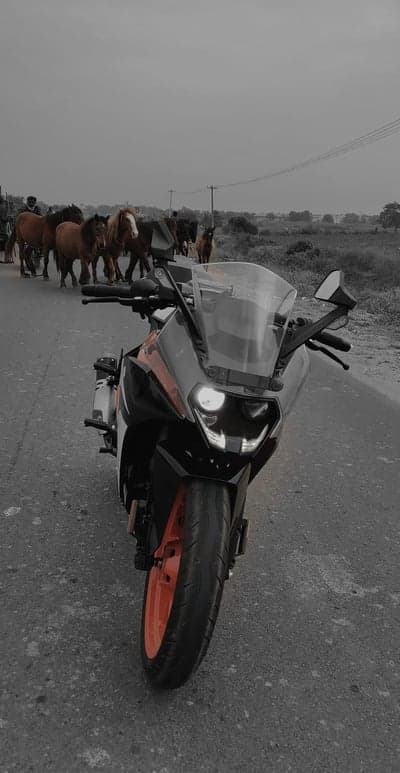 Motorcycle and horses on a rural road