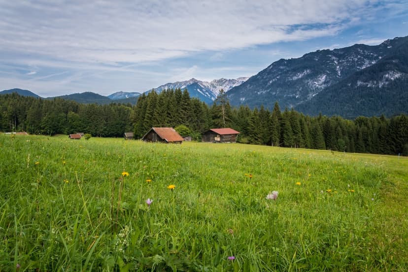 Rustic wooden cabins in a flower-filled alpine meadow with snow-capped mountains under a cloudy blue sky.