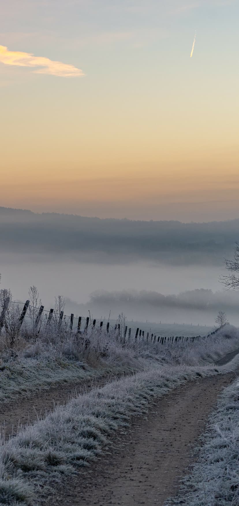 Hoarfrost-covered dirt path and wire fence leading toward misty hills under a pale orange sunrise sky.