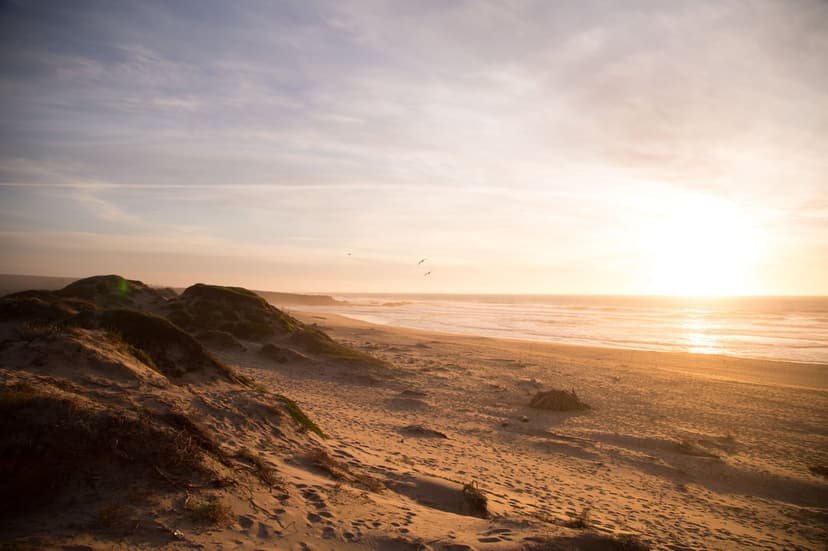 Rolling sand dunes and ocean waves glowing under a warm golden sunset with a clear horizon line.
