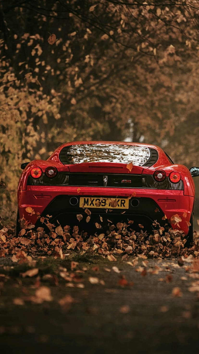Red Ferrari rear view sits on a rustic road buried under a dense layer of orange and brown fallen autumn leaves.